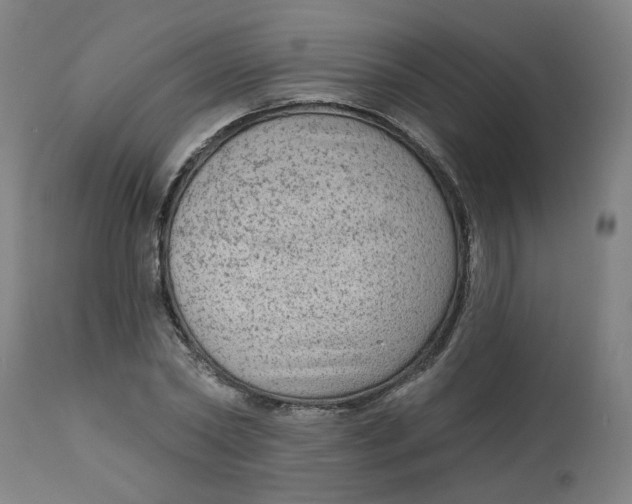 X0000113020782200909171453