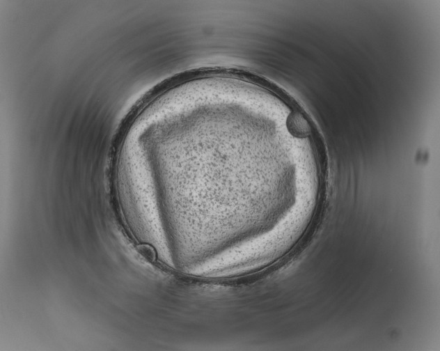 X0000113020783200909171453