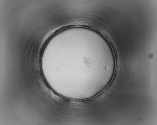 X0000113020784200909171453