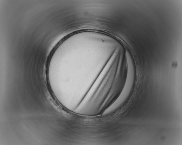 X0000113020788200909171453