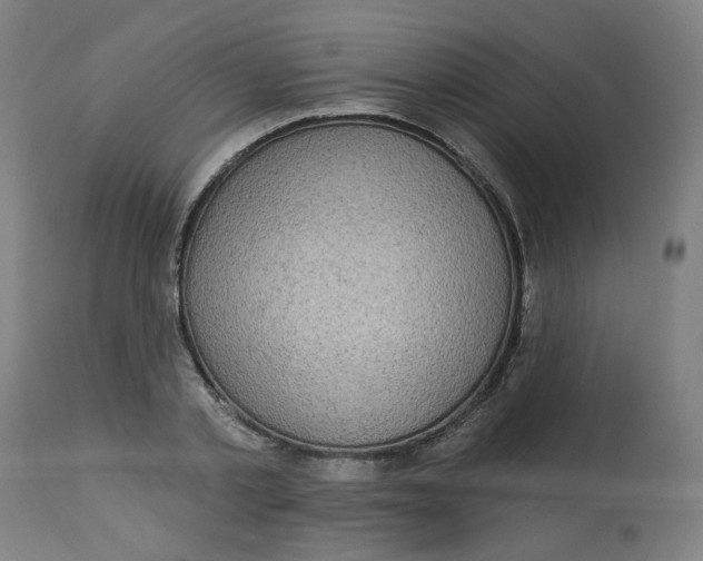 X0000113020789200909171453