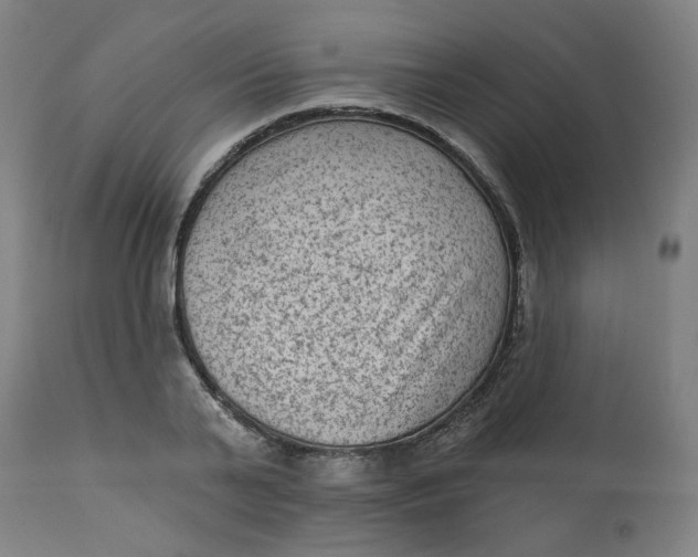 X0000113020791200909171453