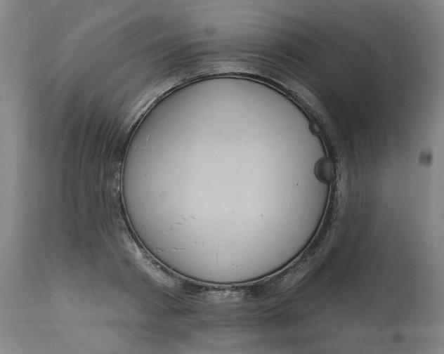 X0000113020793200909171453