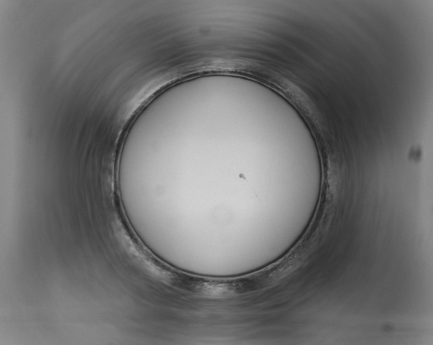 X0000113020794200909171453