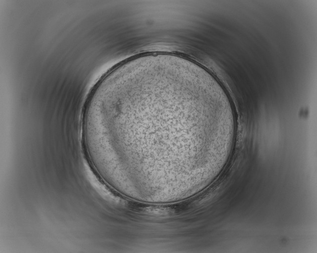 X0000113020795200909171453