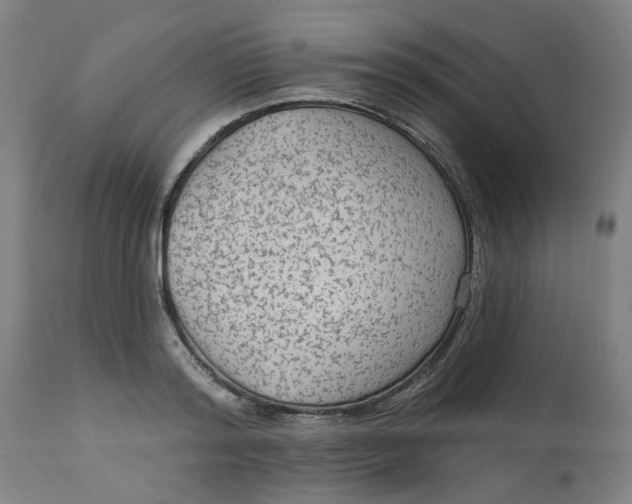 X0000113020796200909171453