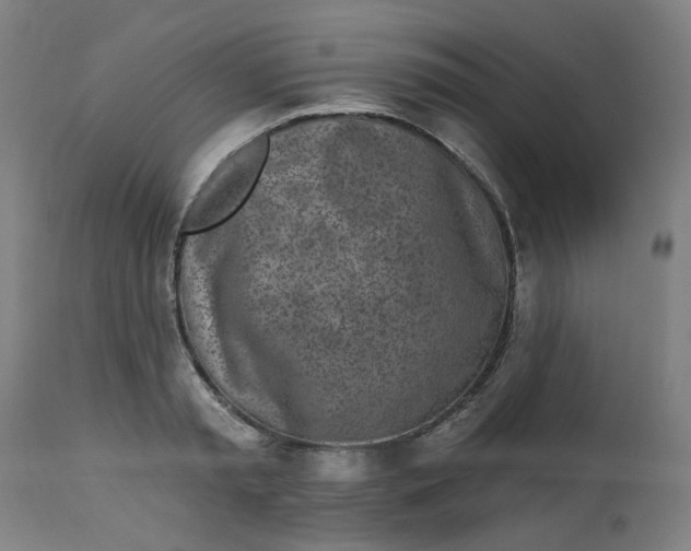 X0000113020797200909171453