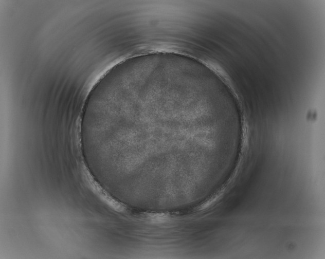 X0000113020798200909171453