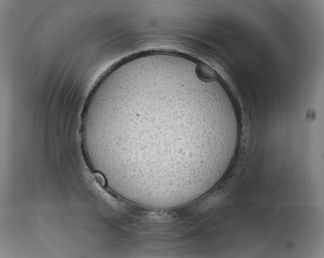 X0000113020799200909171452