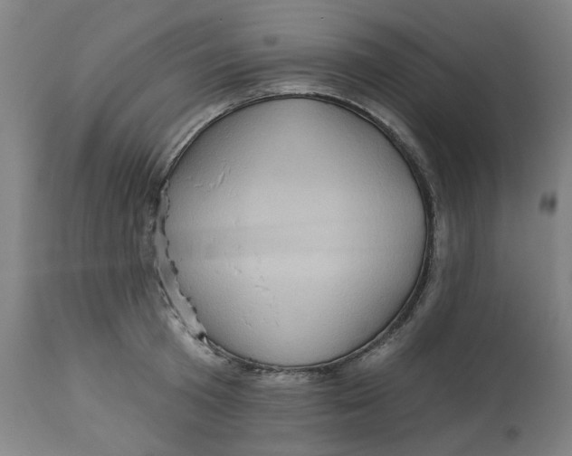 X0000113020801200909171452