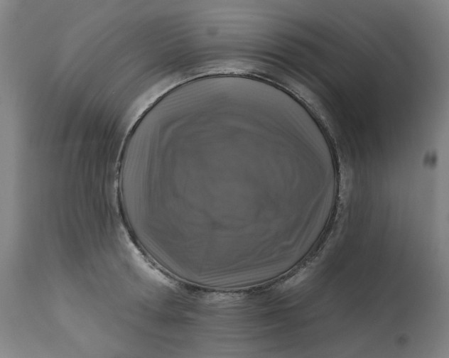 X0000113020802200909171452