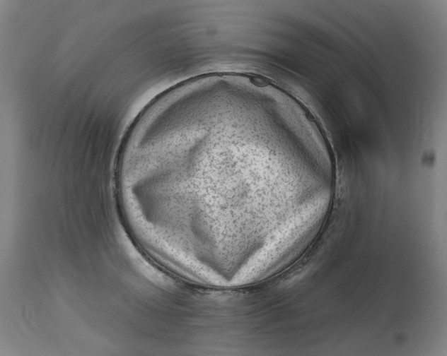 X0000113020803200909171452