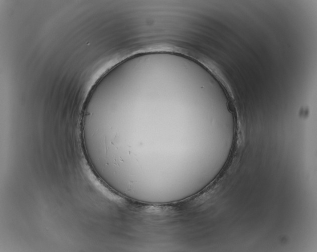 X0000113020805200909171452