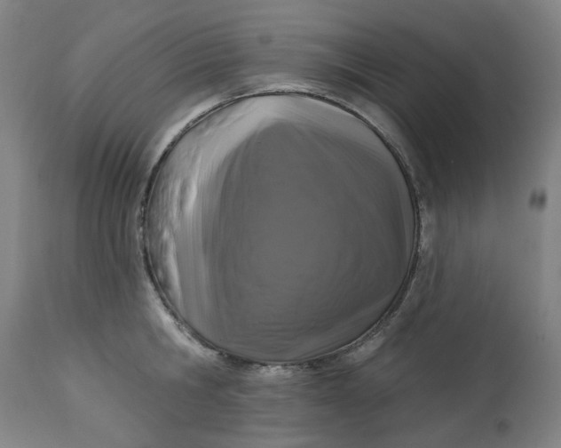 X0000113020806200909171452