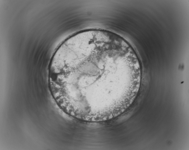 X0000113020807200909171452