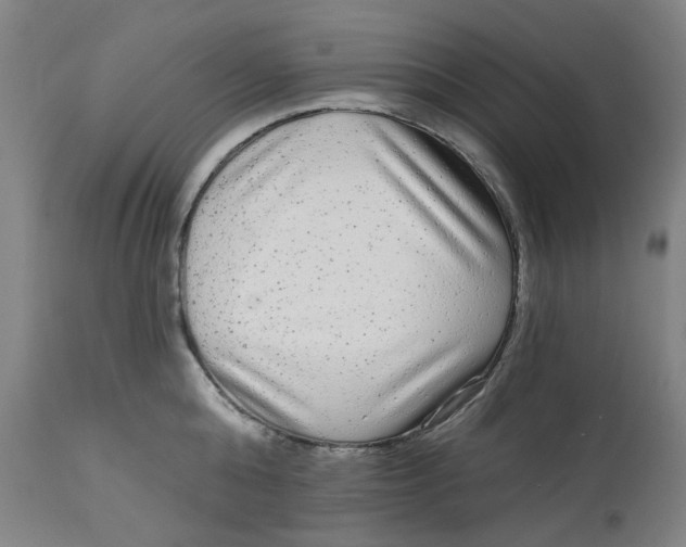 X0000113020808200909171452