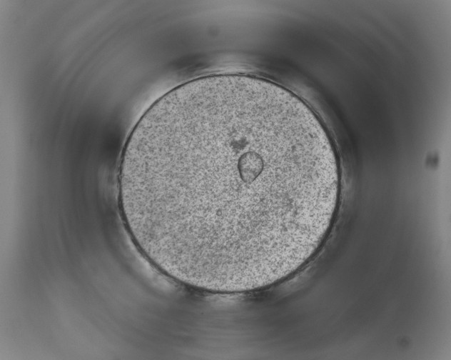 X0000113020810200909171452