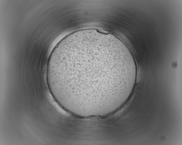 X0000113020812200909171452