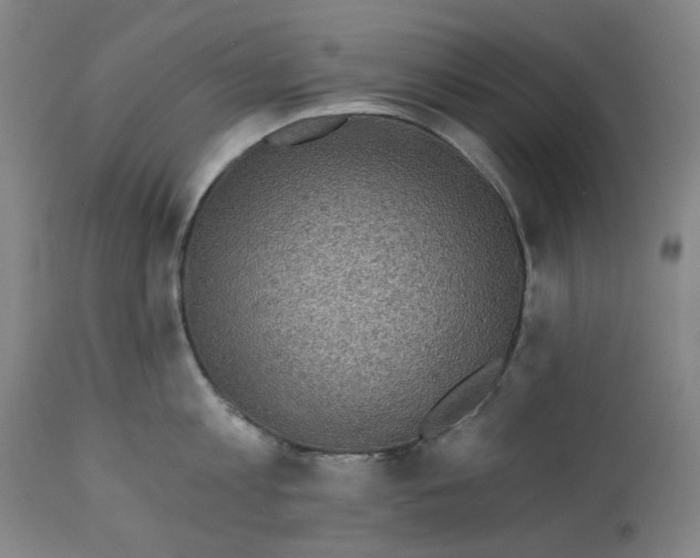 X0000113020813200909171452