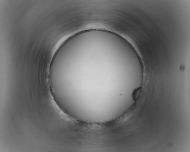 X0000113020815200909171452