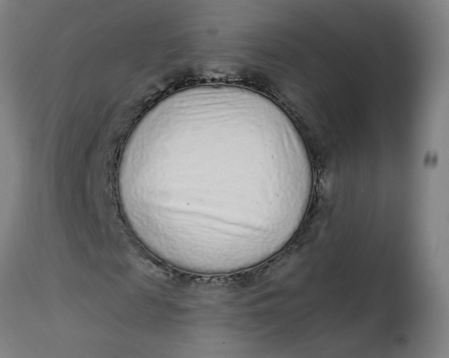 X0000113020817200909171451