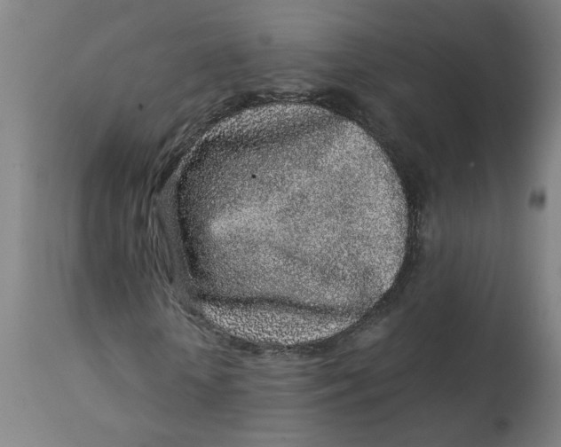 X0000113020818200909171451