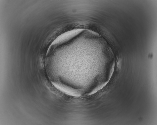 X0000113020819200909171451