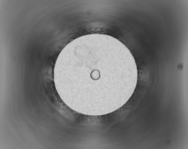 X0000113020820200909171451