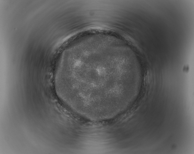 X0000113020822200909171451