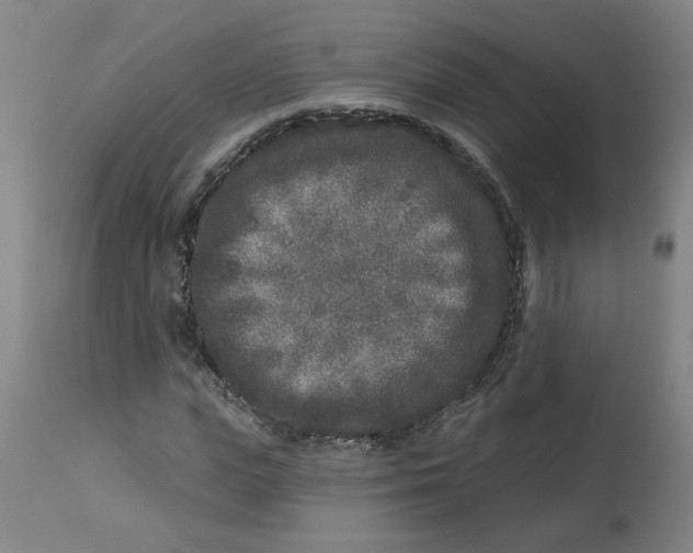 X0000113020823200909171451