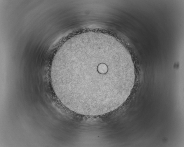 X0000113020824200909171451