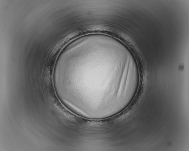 X0000113020825200909171451