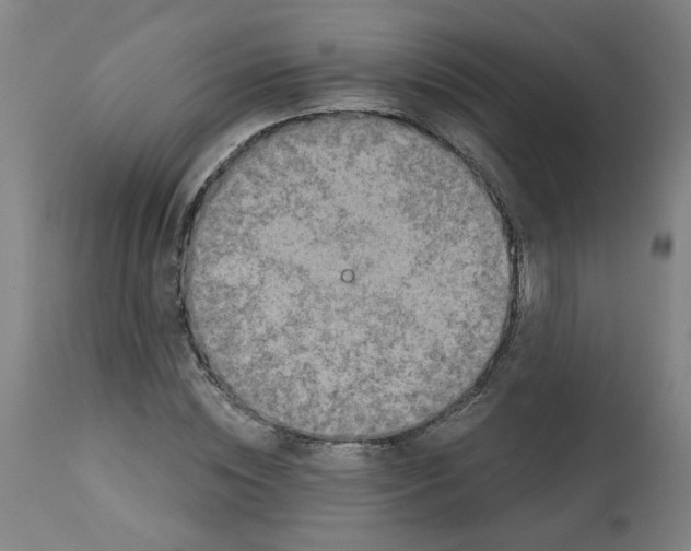 X0000113020828200909171451