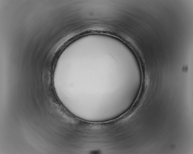 X0000113020829200909171451