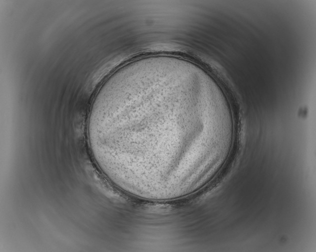 X0000113020833200909171451