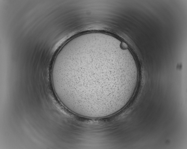 X0000113020834200909171451