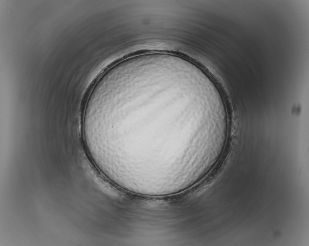 X0000113020837200909171452