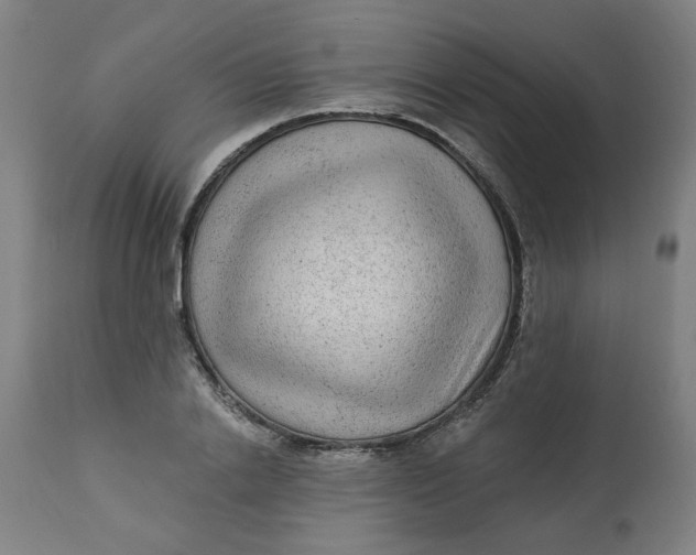 X0000113020838200909171452