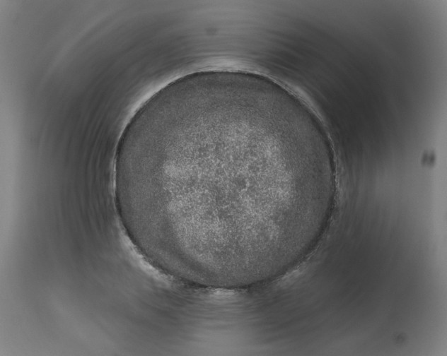 X0000113020839200909171452