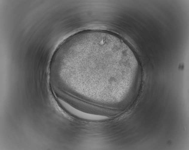 X0000113020840200909171452