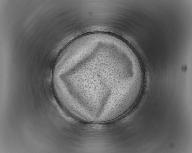 X0000113020841200909171452