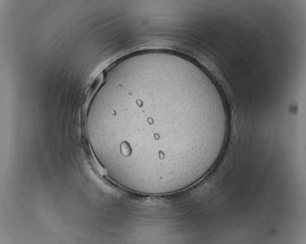 X0000113020842200909171452