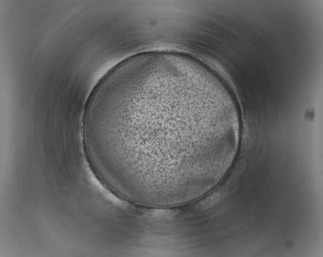 X0000113020847200909171452