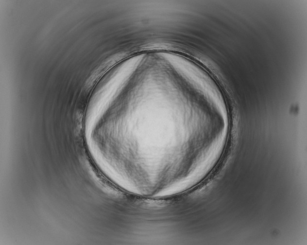 X0000113020849200909171452