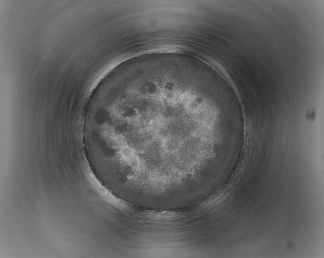 X0000113020851200909171452