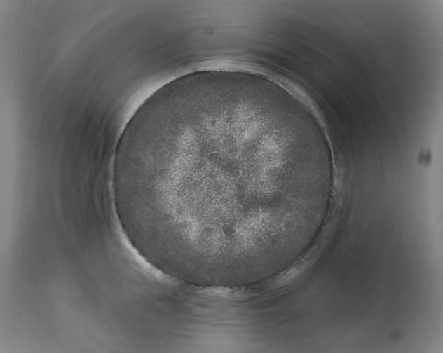 X0000113020855200909171452