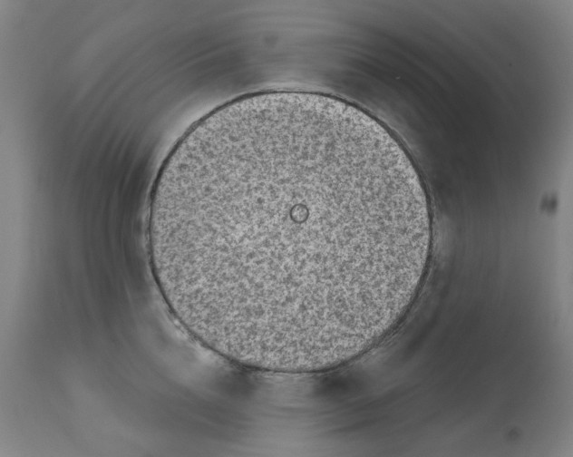 X0000113020856200909171452