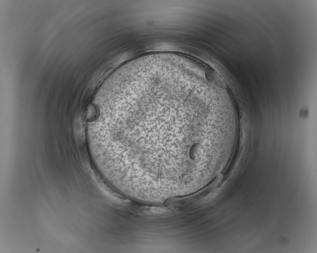 X0000113020857200909171452