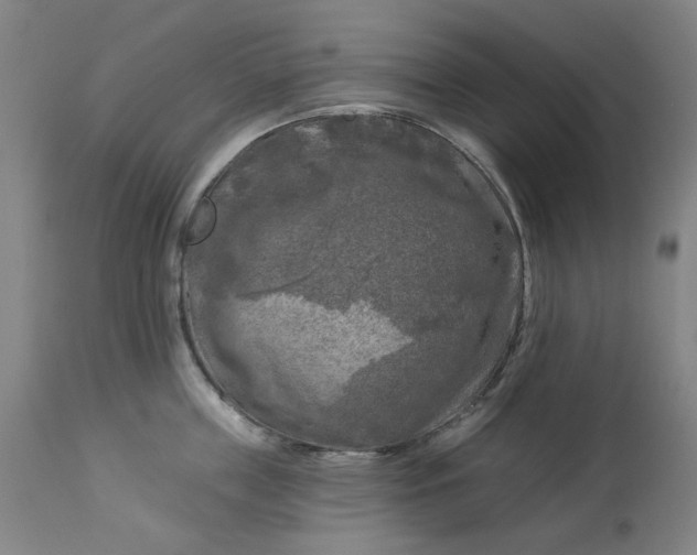 X0000113020859200909171452