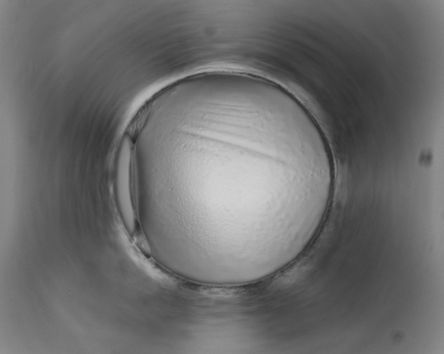 X0000113020862200909171452